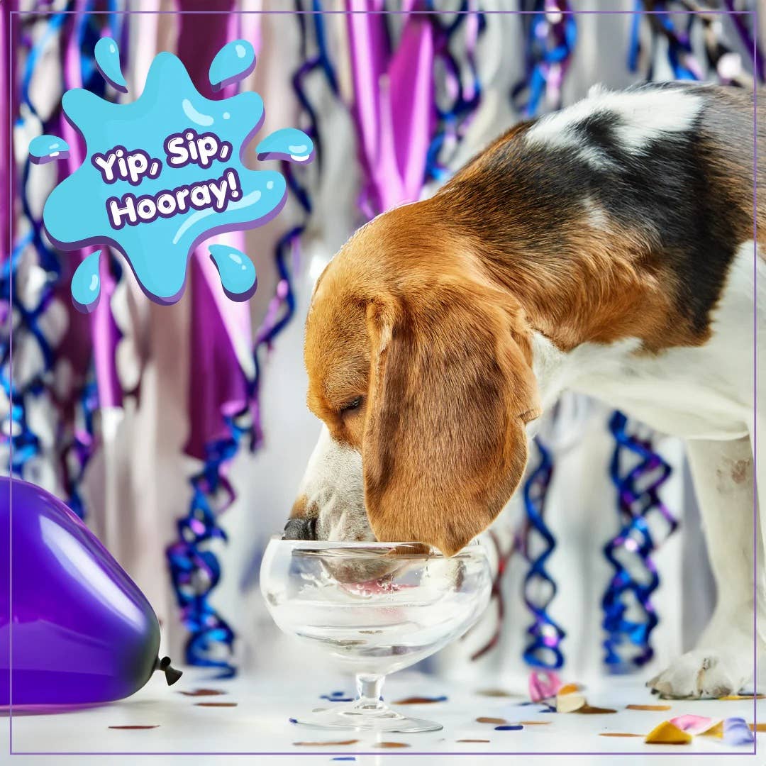 Lazy Dog Pup-POP Birthday Water Vanilla Cake Flavor 1ct