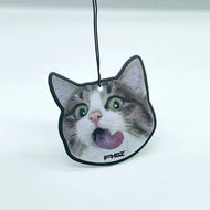 FHSZ Air Freshener