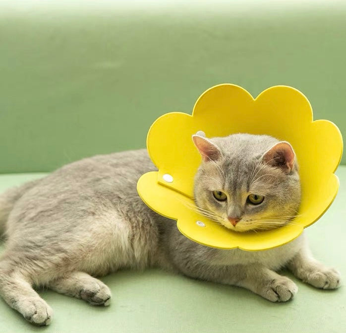 Adjustable Sun Flower Cone