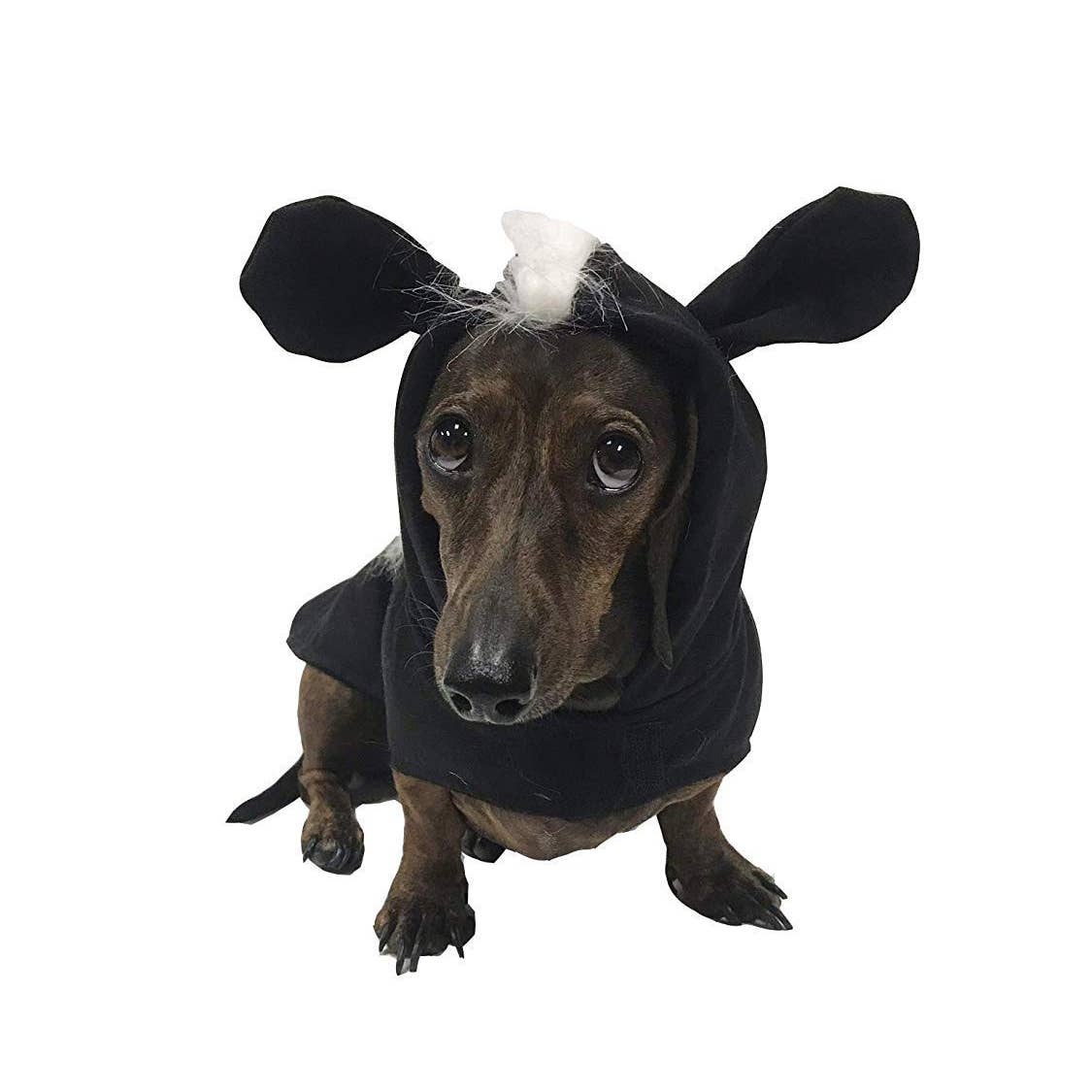Midlee Skunk Dog Costume