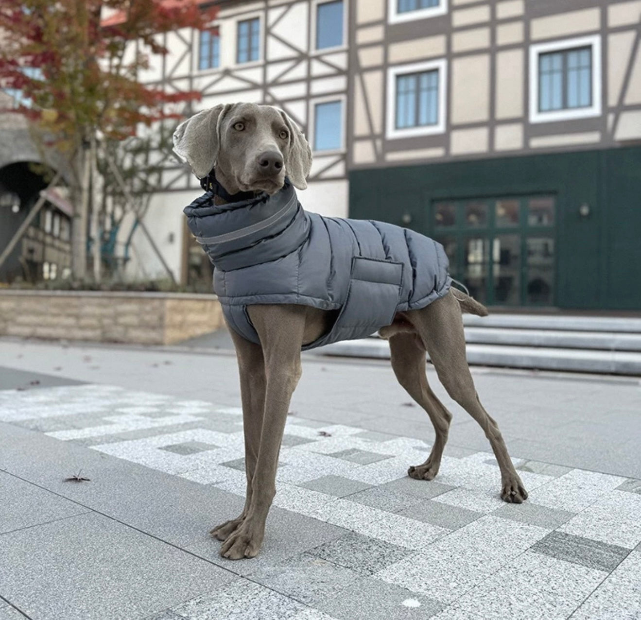 Dog Winter Gray Puffer Jacket Coat with Reflective and leash loop