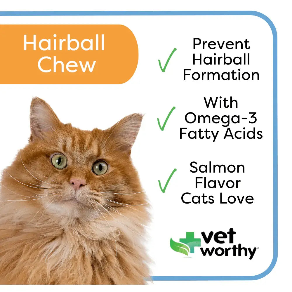Vet Worthy Hairball Support w/ Pumpkin Soft Chews Feline 60c