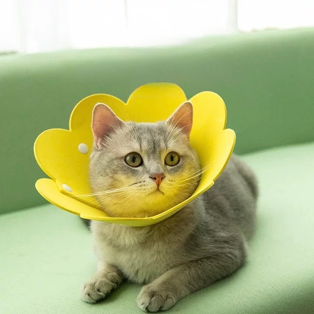 Adjustable Sun Flower Cone