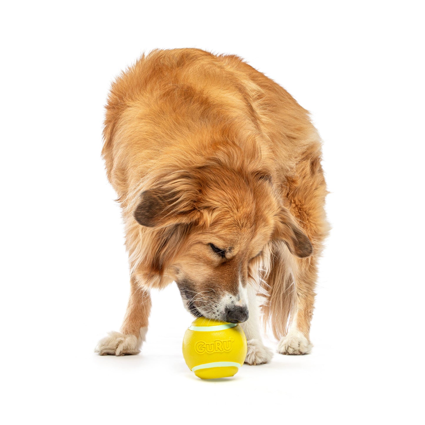 GURU Pet Company Tennis Treat Ball Dog Chew Toy MED