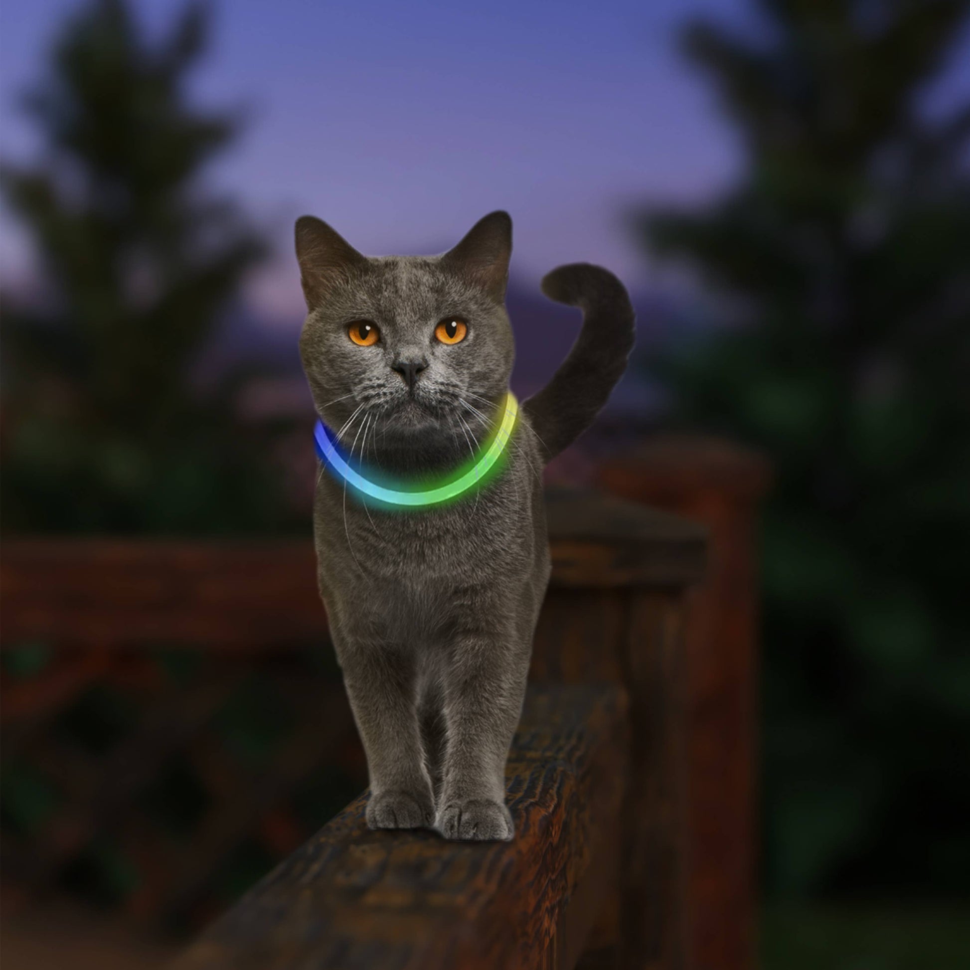Nite Ize NiteMeow Rechargeable LED Safety Necklace Disc-O