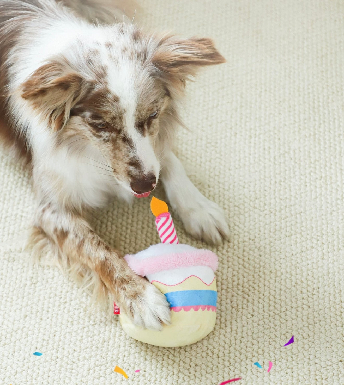 Birthday Cake Plush Toy