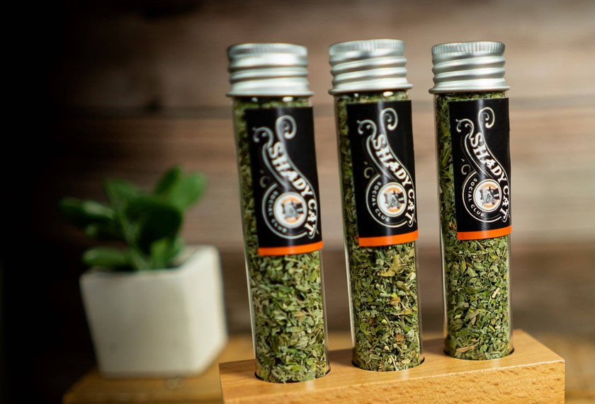 Organic Leaf & Flower Catnip Tube