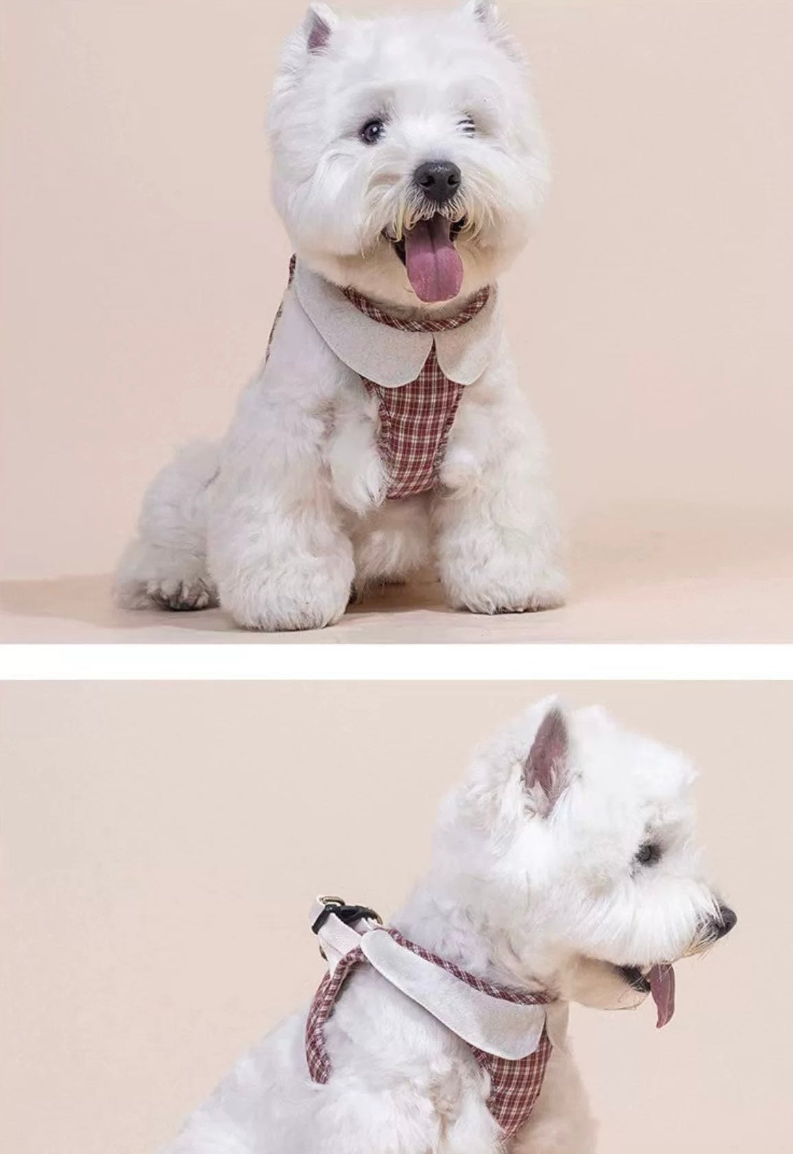 Plaid Harness + Leash Set