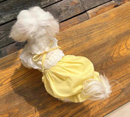 Macaron Princess Style Lace Dress