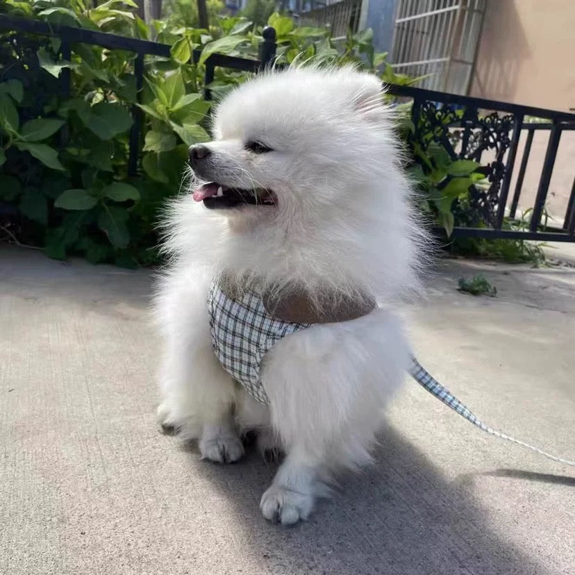 Plaid Harness + Leash Set