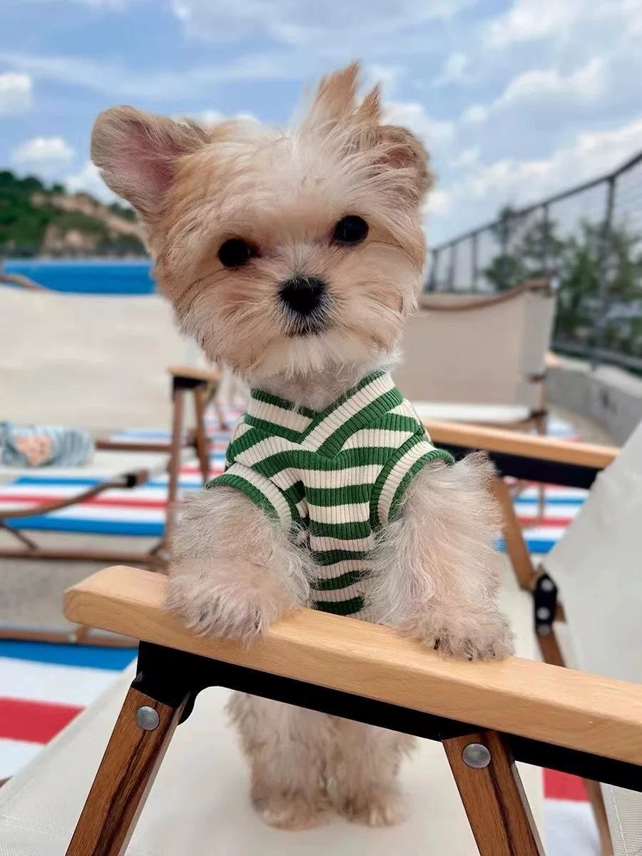 Green Stripe Cartoon Tank