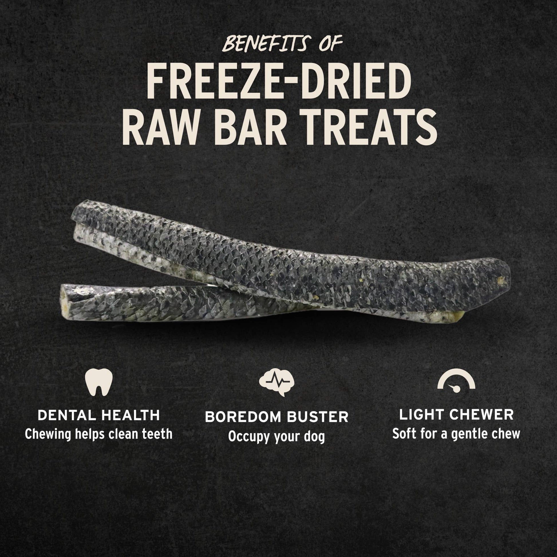 Vital Essentials® RAW BAR Freeze-Dried Raw Salmon Skin Treat