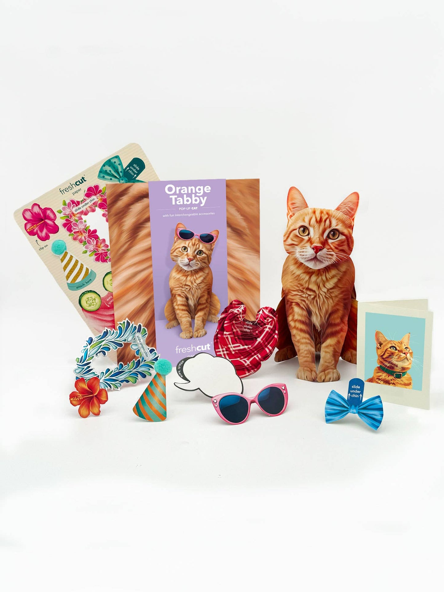 Orange Tabby (1 Pop-up Greeting Card)
