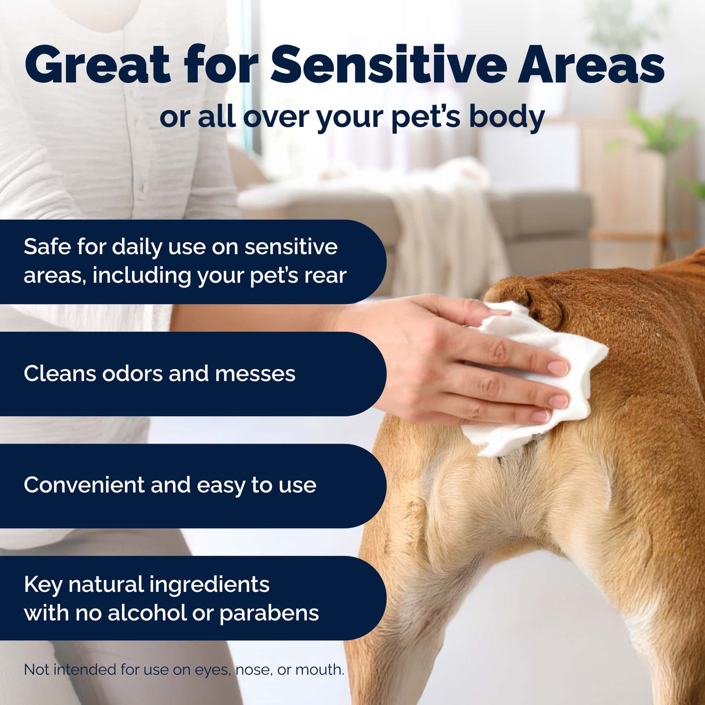 Glandex Rear End Pet Wipes Package