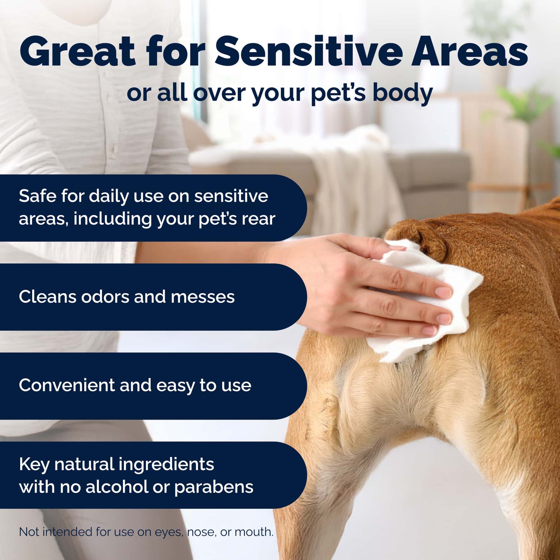 Glandex Rear End Pet Wipes Package