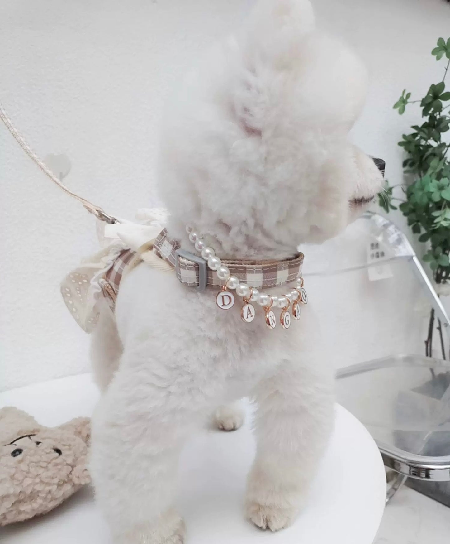 Small Plaid Bear Bow Harness Dress Set Series