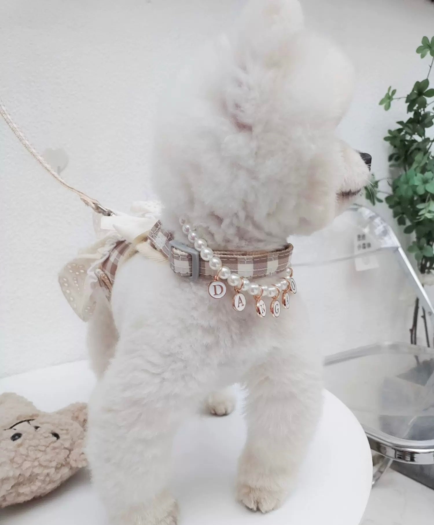 Small Plaid Bear Bow Harness Dress Set Series