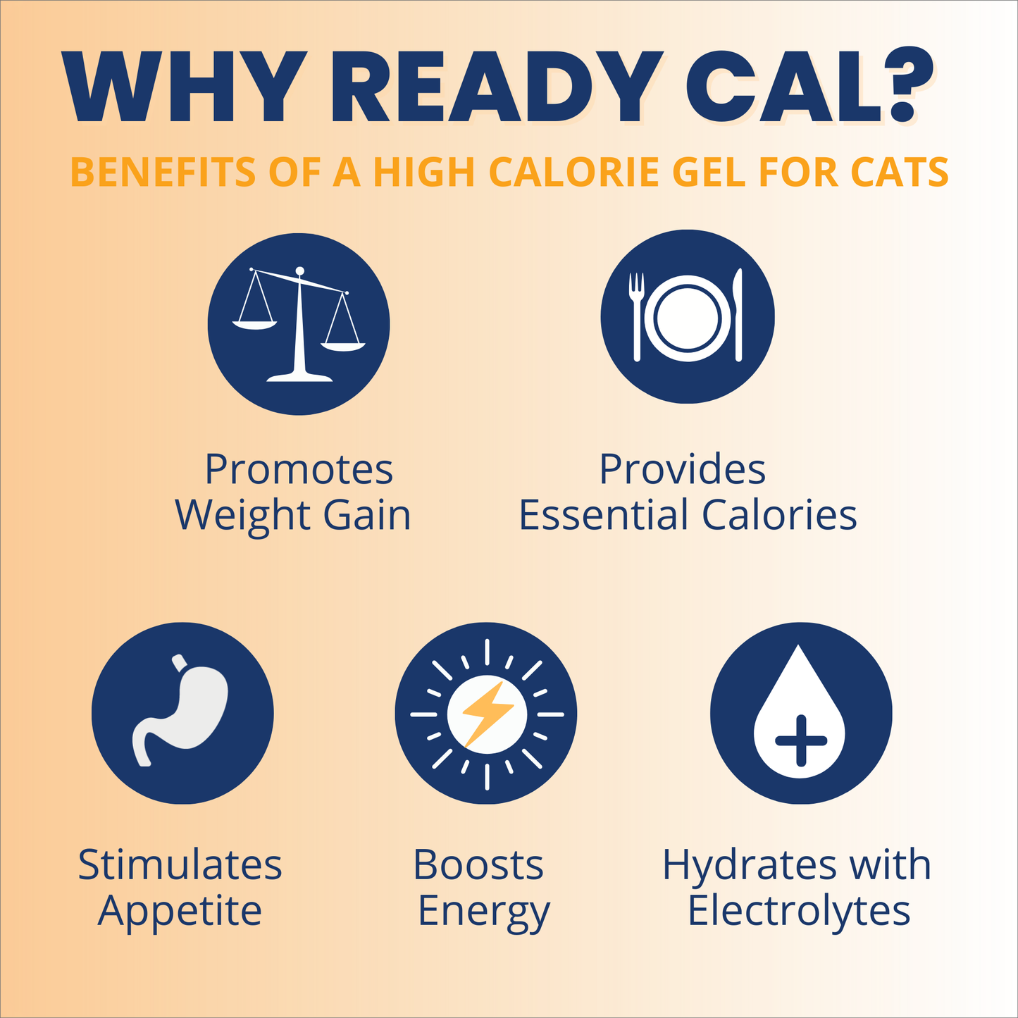 Under the Weather Ready Cal Plus w Electrolytes Squeezable