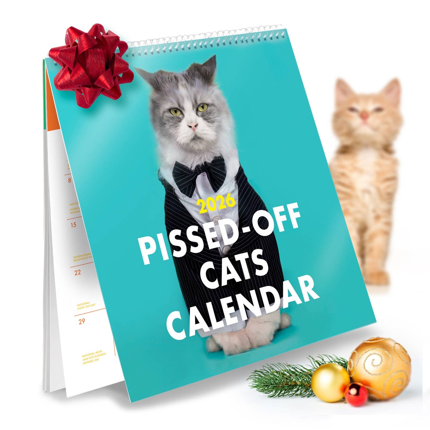 The Raccoon Society - 2026 Pissed Off Cats Calendar