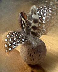 Birdie Cat Toy (BFCCT-053)