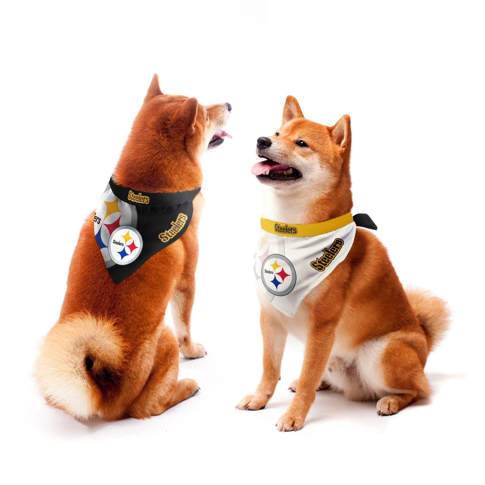 NFL Pittsburgh Steelers Home & Away Pet Bandana Set