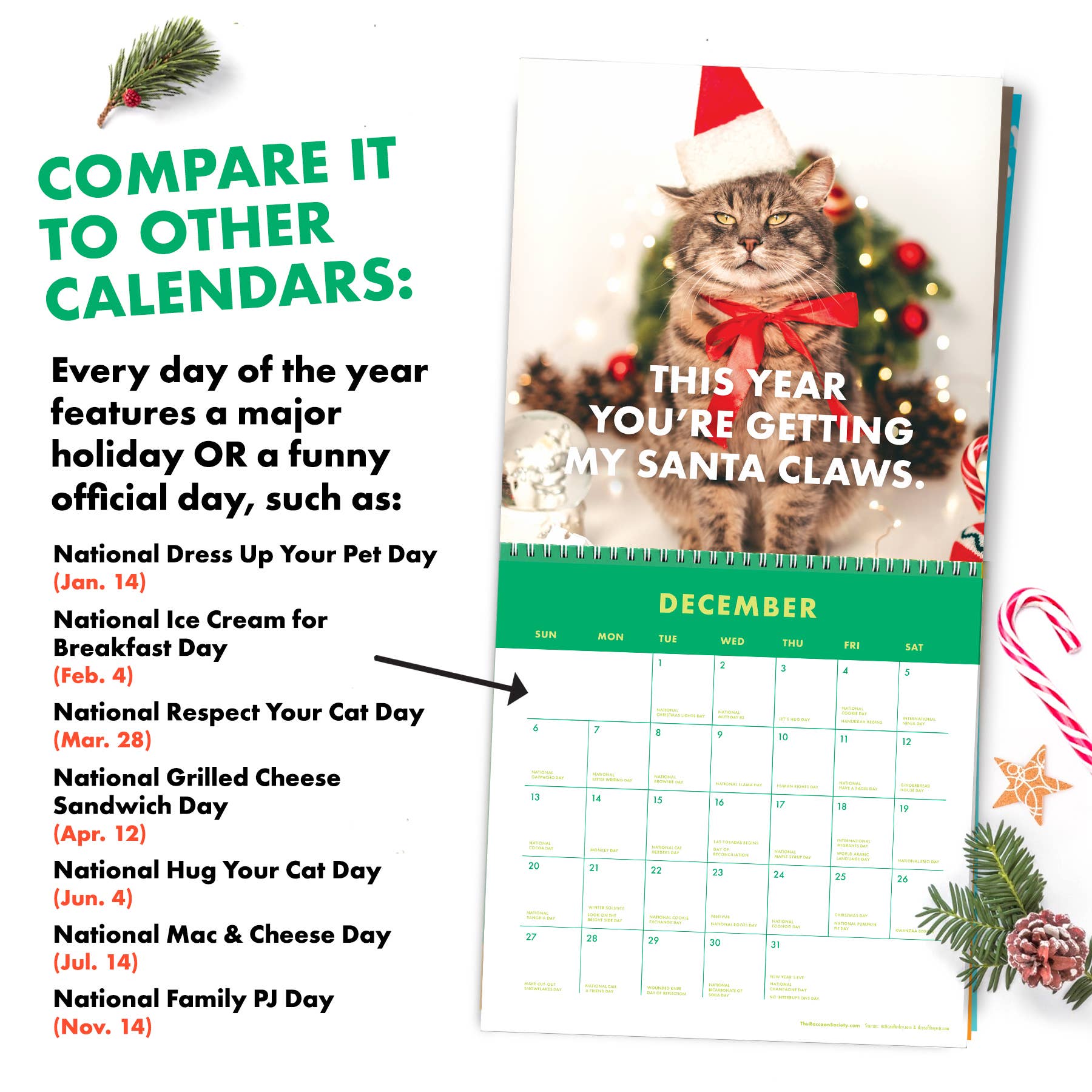 The Raccoon Society - 2026 Pissed Off Cats Calendar