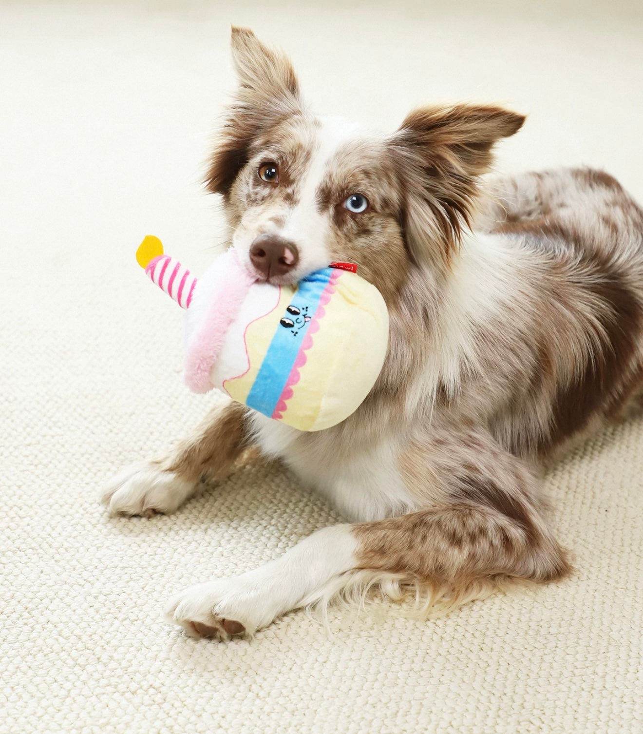 Birthday Cake Plush Toy