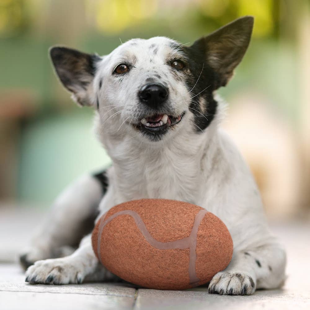 NFL Pittsburgh Steelers Tough Chewer Pet Ball