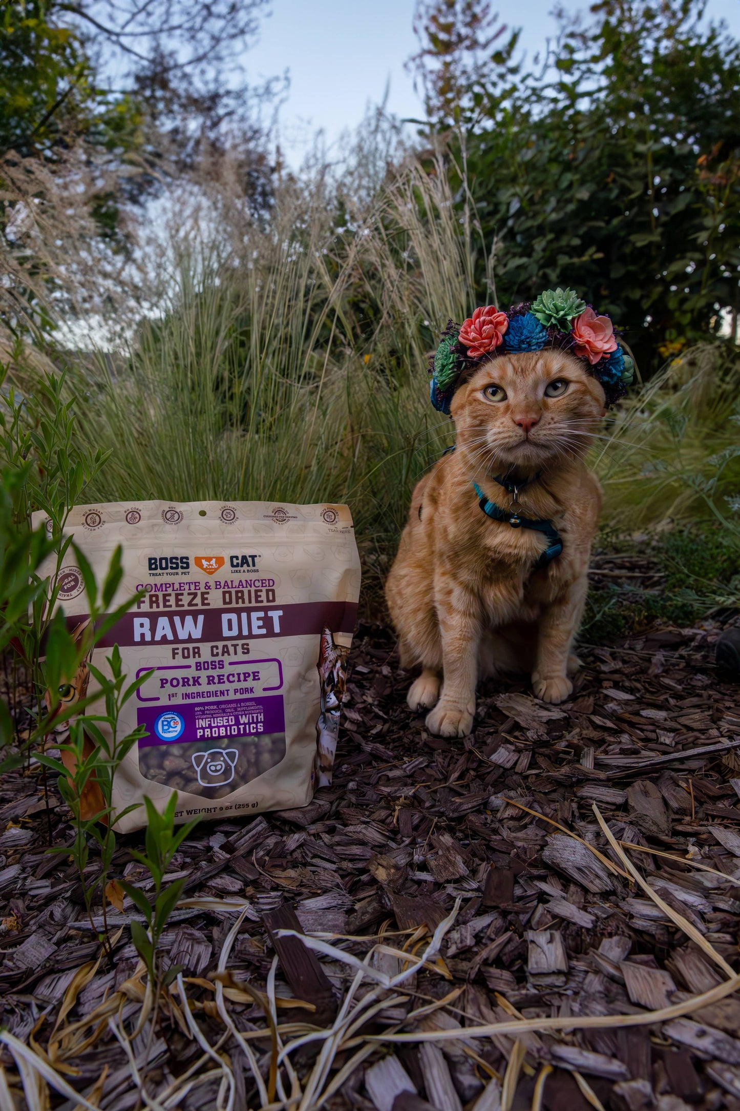 Boss Cat Freeze Dried Raw Diet - Pork (9oz)