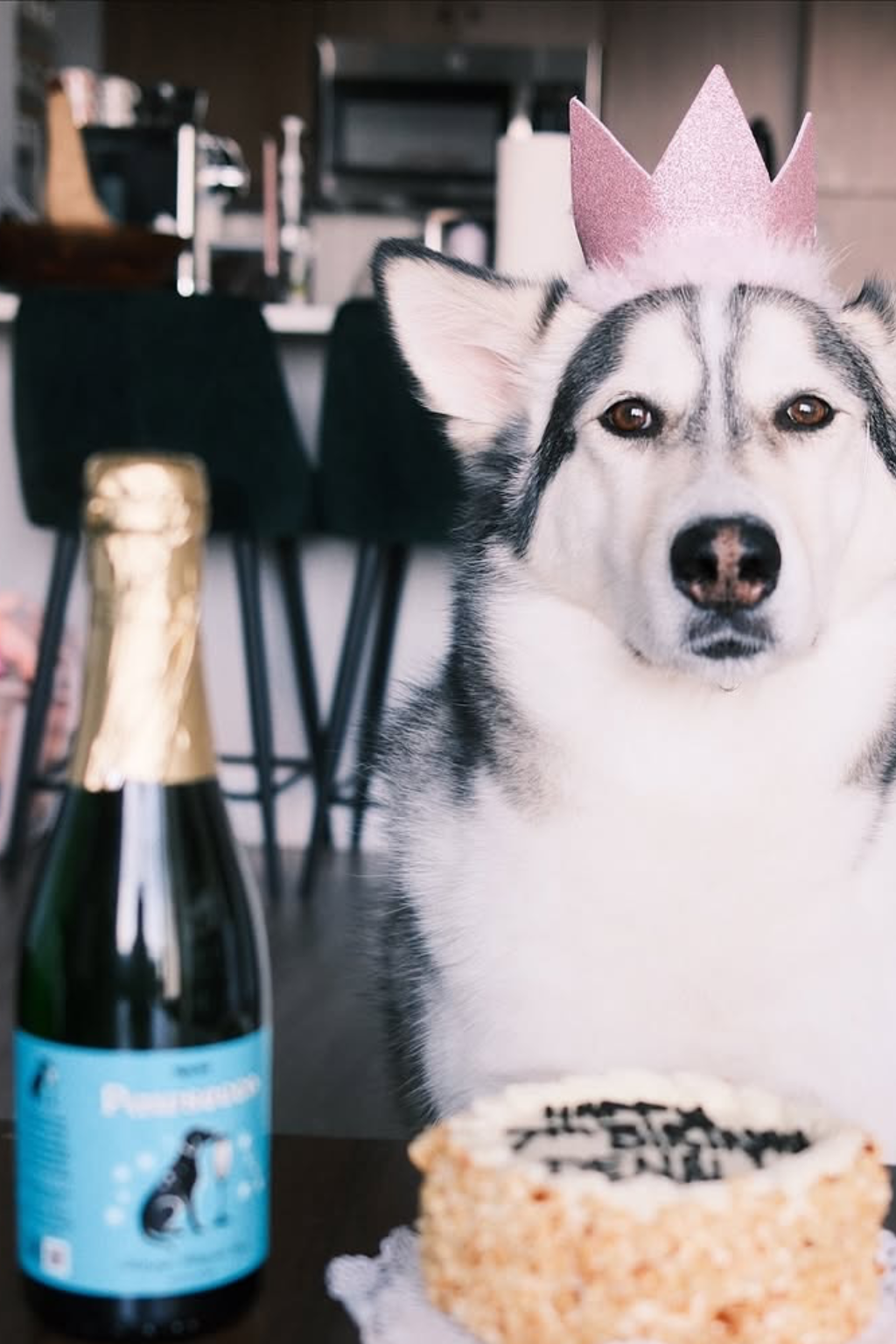 Dog Wine | 1ct | Rose, Sauv, Pawsecco