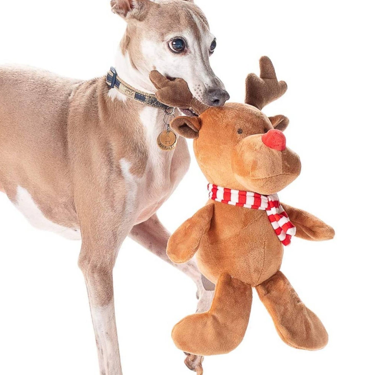 Midlee Christmas Reindeer Plush Dog Toy with Scarf
