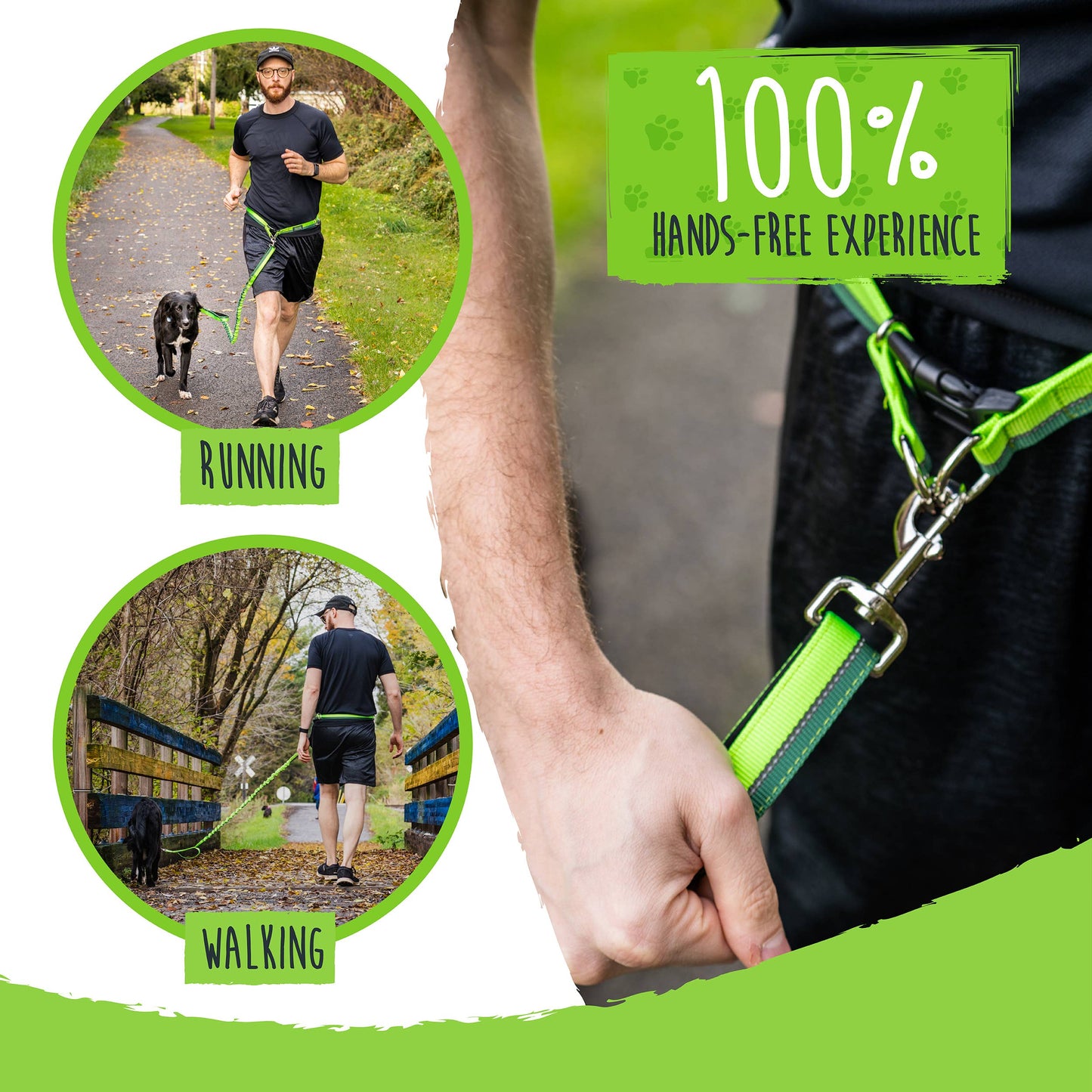 Hands Free Bungee Leash 2.0