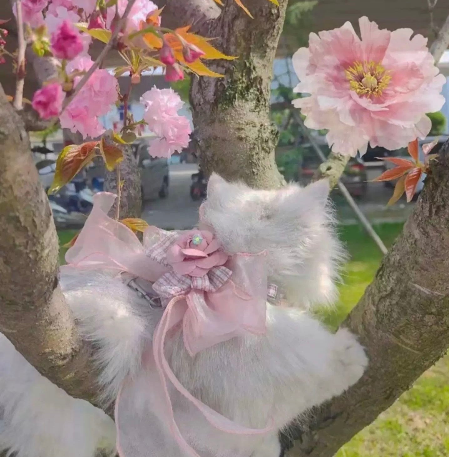 Camellia Series - Small Cat or Small Dog Camellia Flower Outdoor Elegant Adjustable Harness and Leash Set