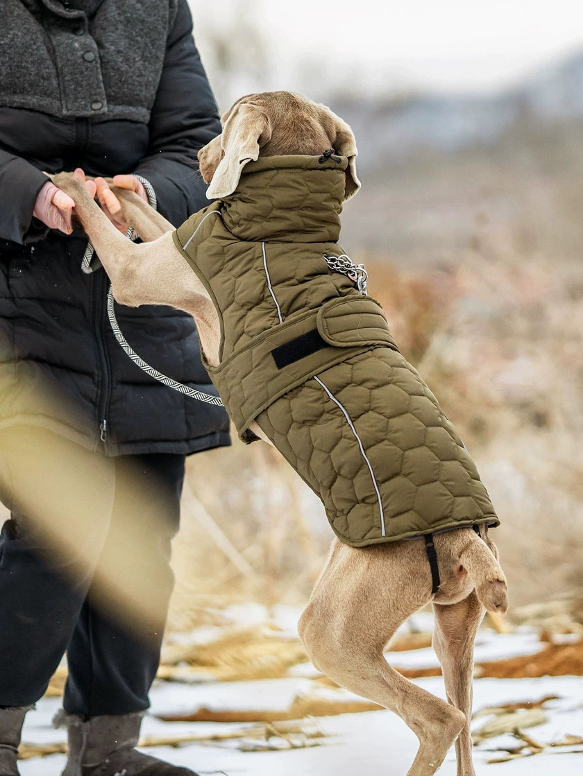 Dog Winter Vest Coat, Oliver