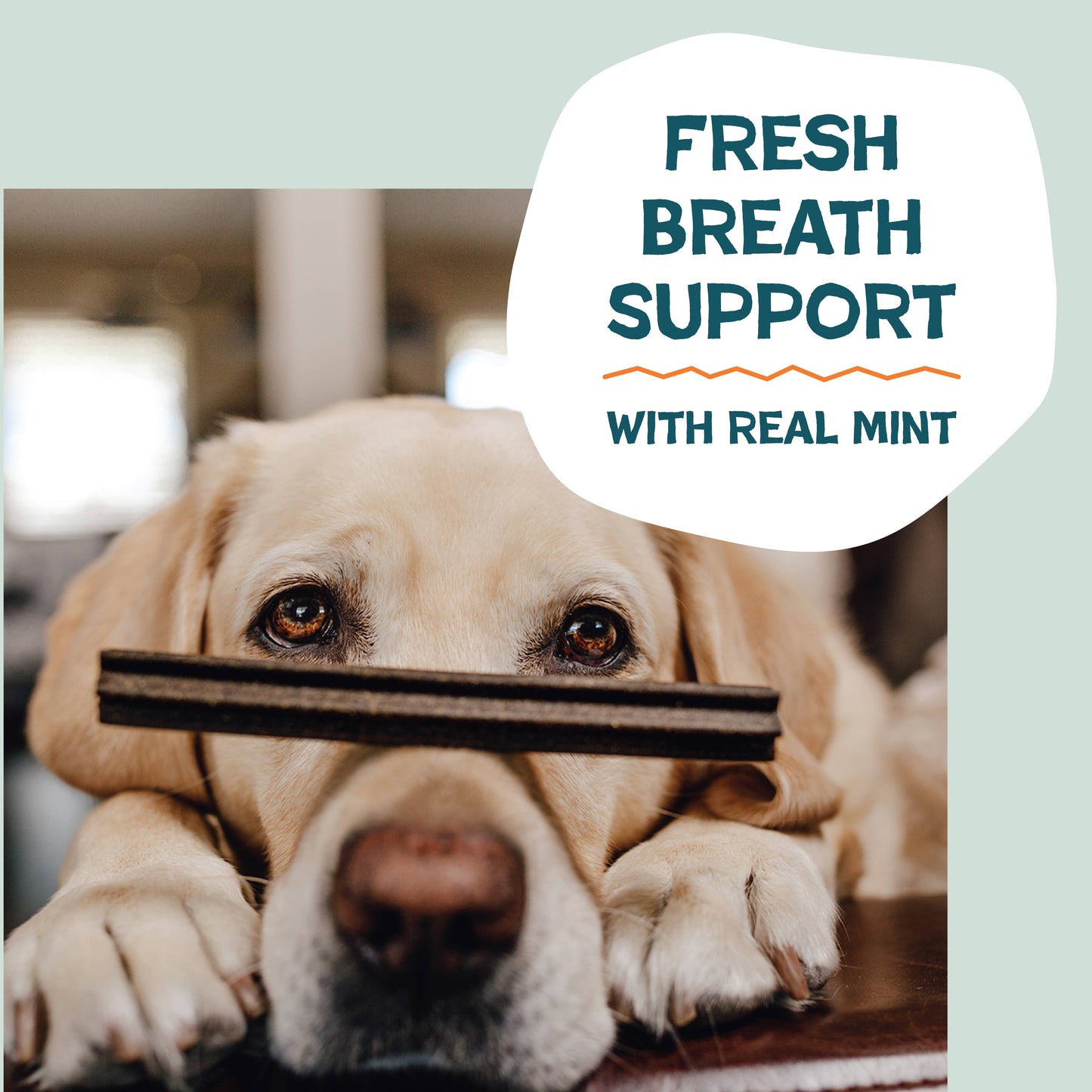 Carrate Chomp Dental Sticks Dog Treats
