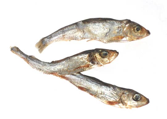 Plato Baltic Sprat 3oz