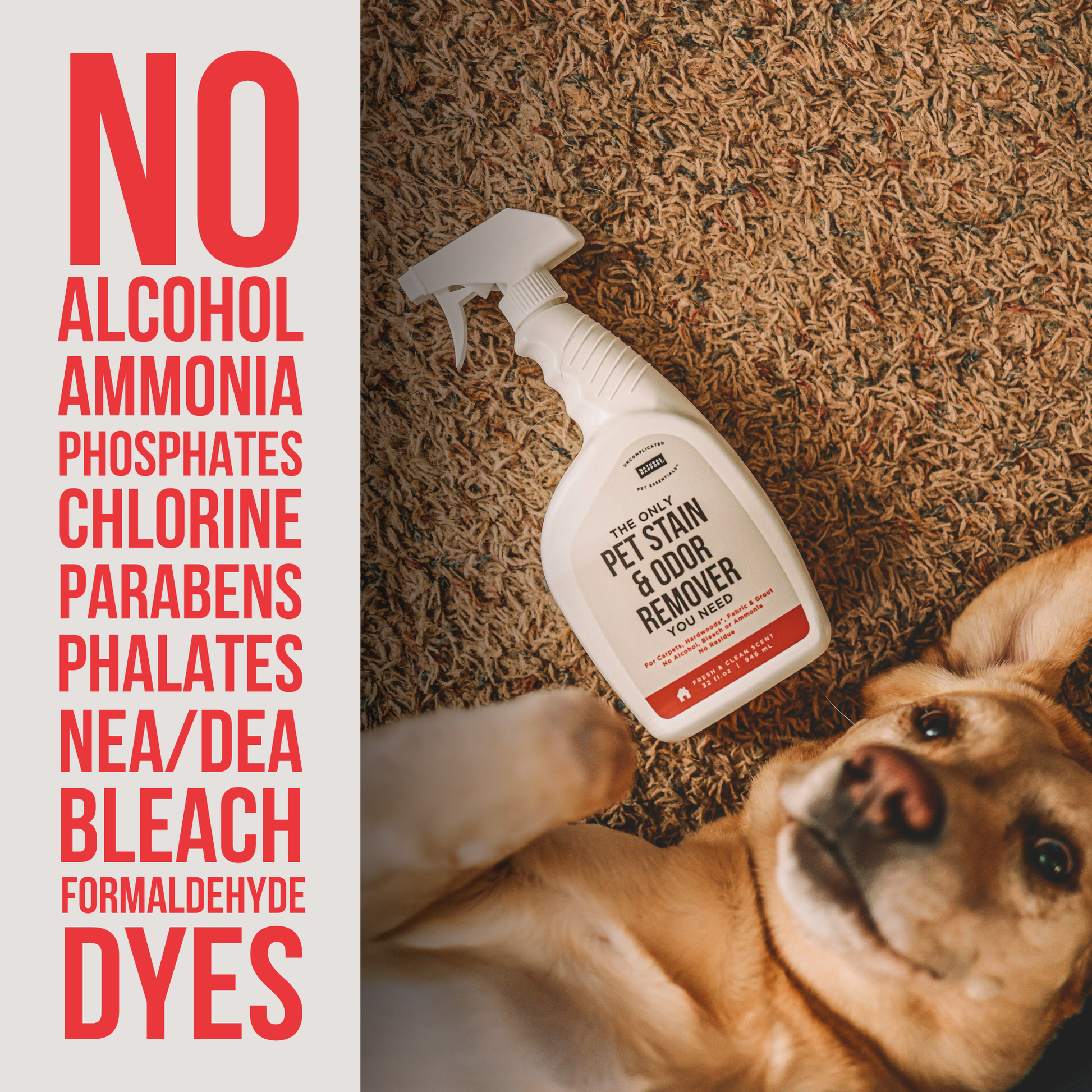The Only Pet Stain & Odor Remover You Need 3oz