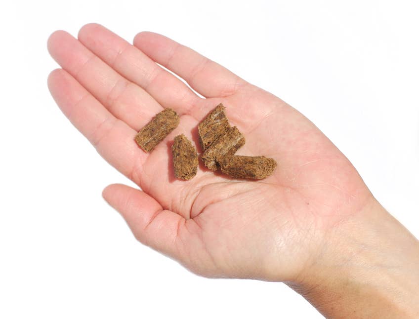 Plato Small Bites Organic Chicken 2.5oz