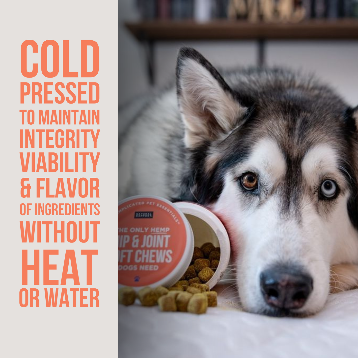 The Only Hemp Hip & Joint Soft Chews Dogs Need