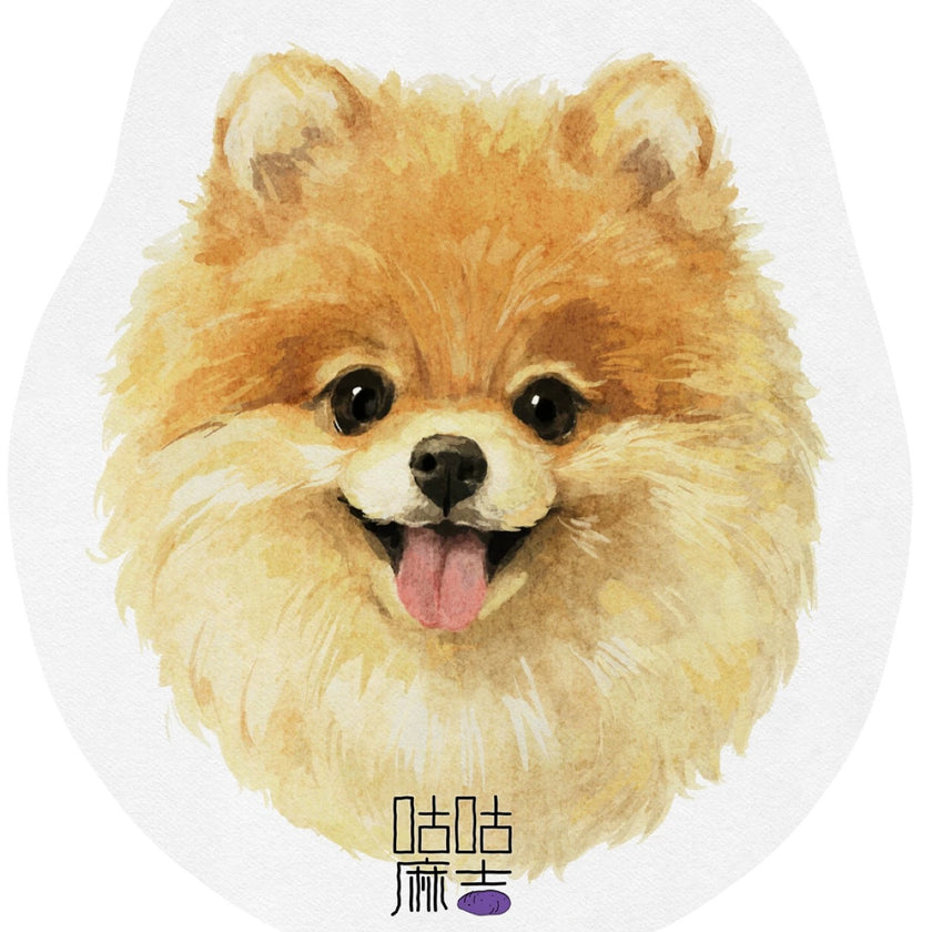 Air Freshener 2