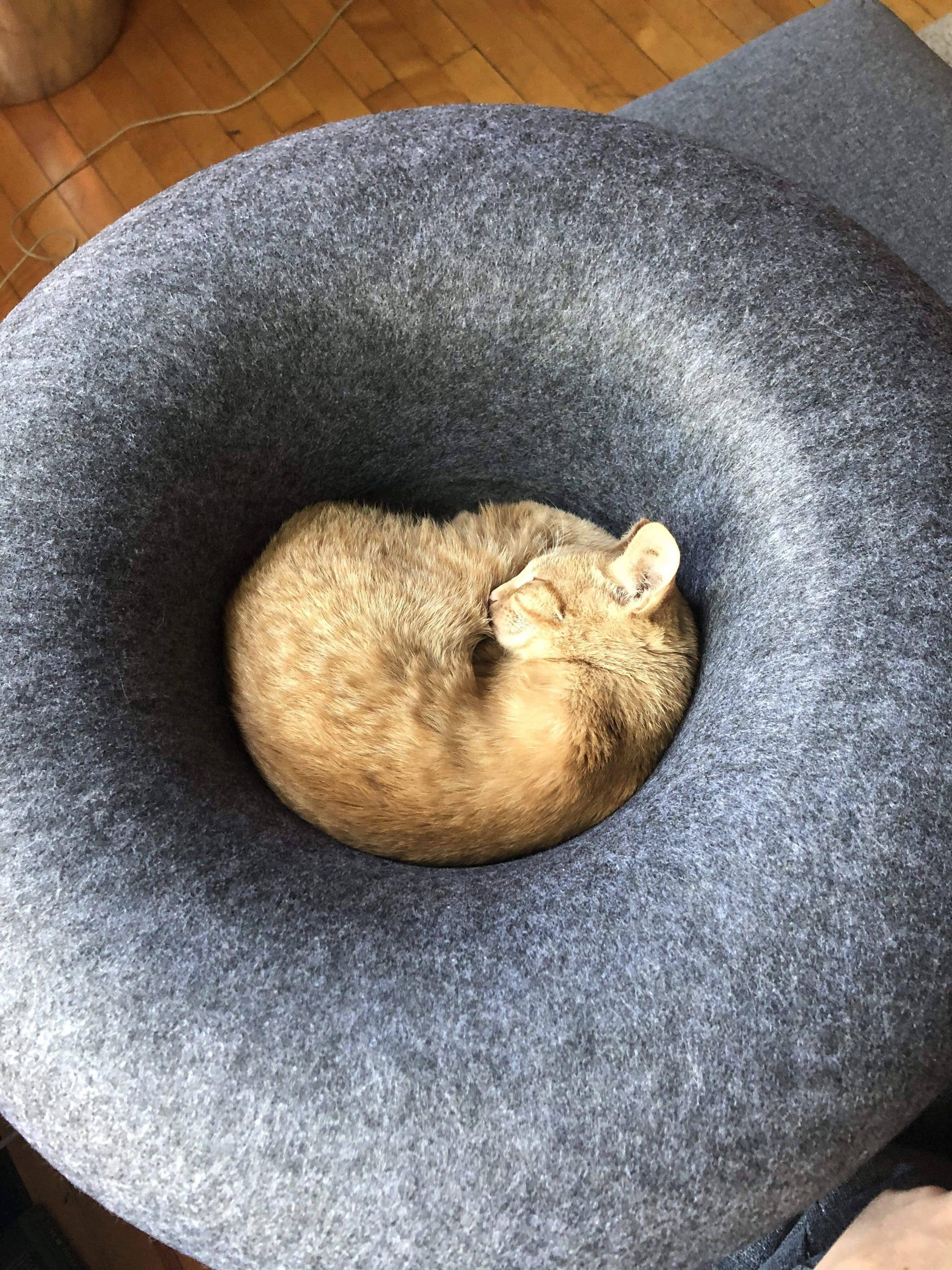 "Donut!" Cat Hideaway Cave & Bed - Cozy Chic Pet Bed