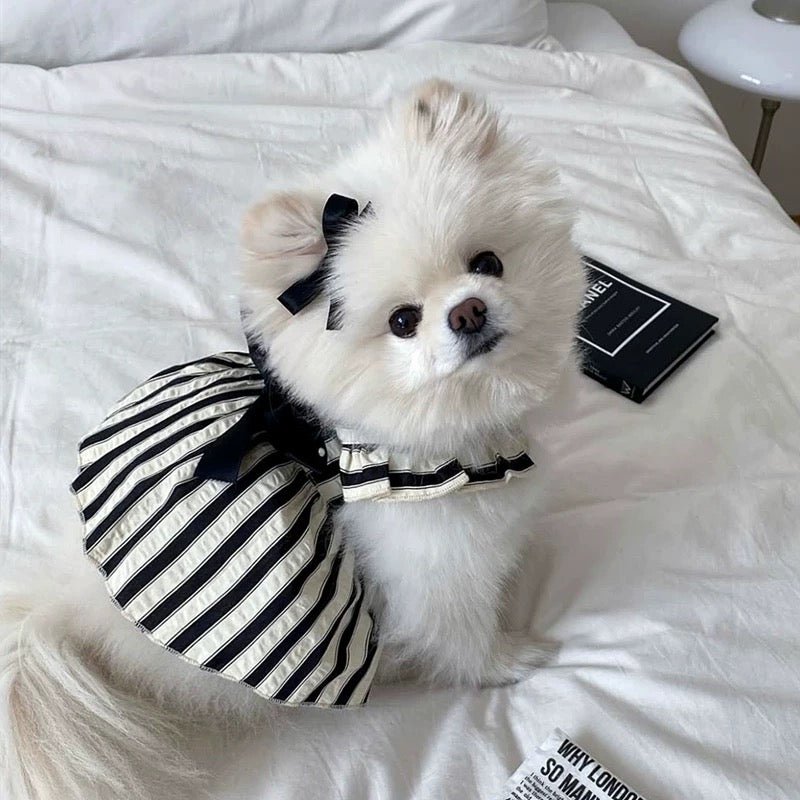 Summer Dress for dogs