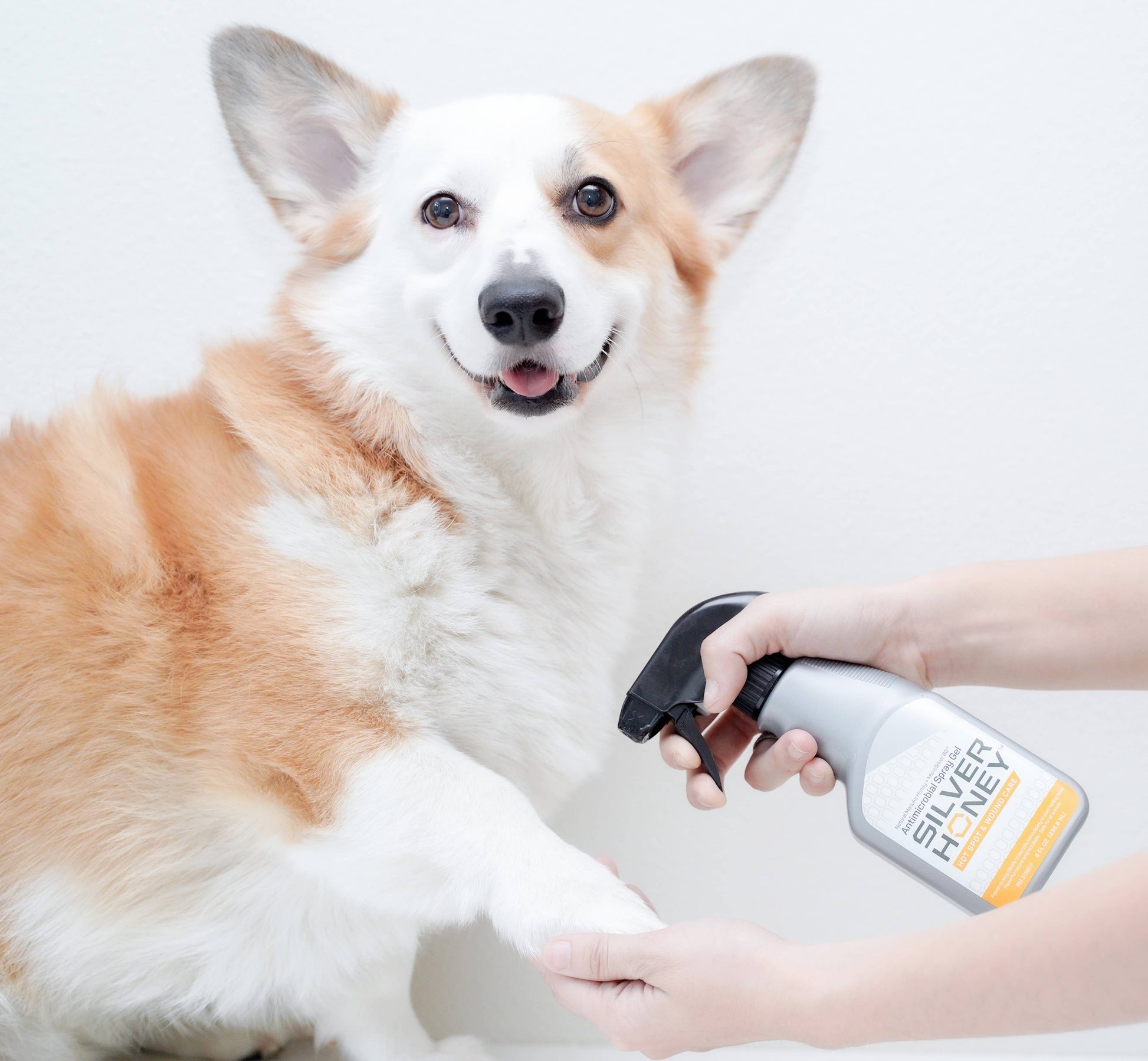 Absorbine Pet - Silver Honey Hot Spot & Wound Spray 8 fl oz