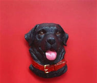 Pet Fridge Magnets