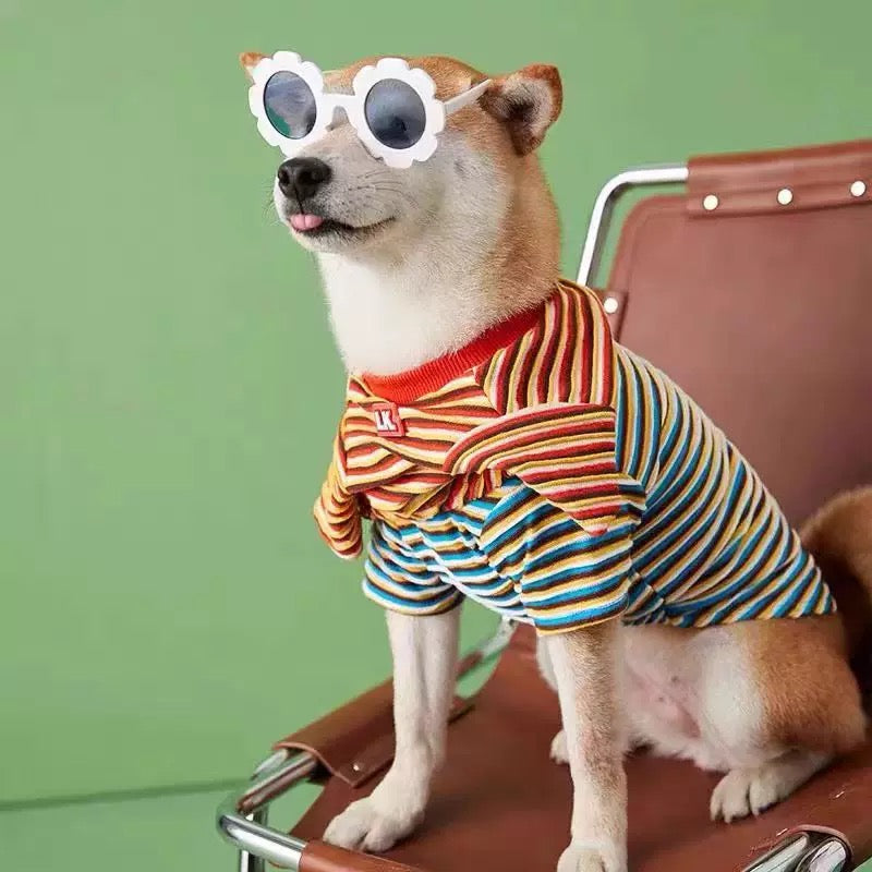 Striped Shirts