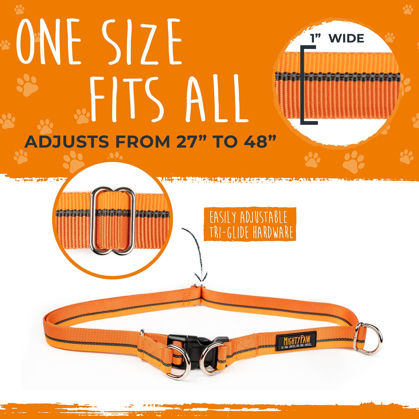 Hands Free Bungee Leash 2.0