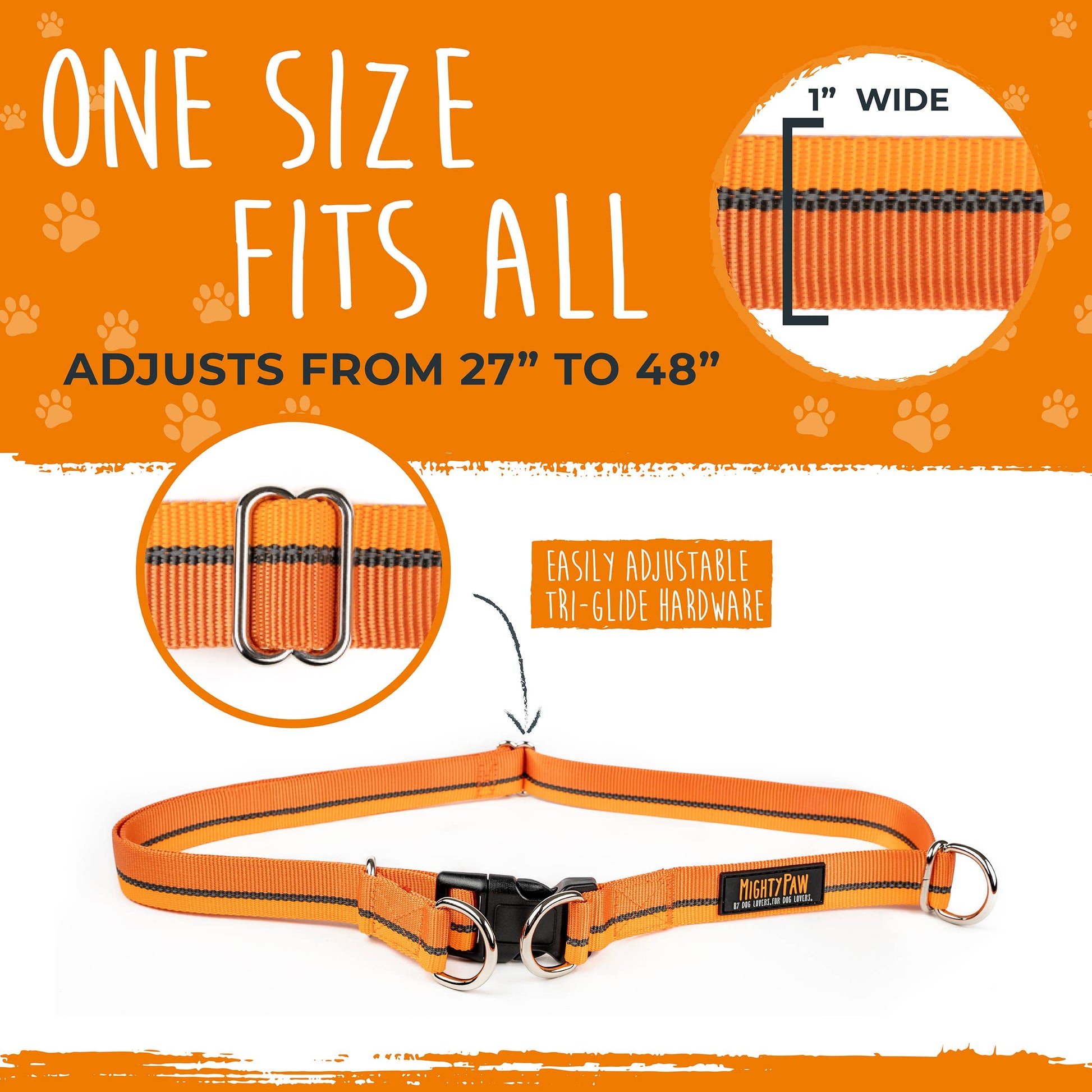 Hands Free Bungee Leash 2.0