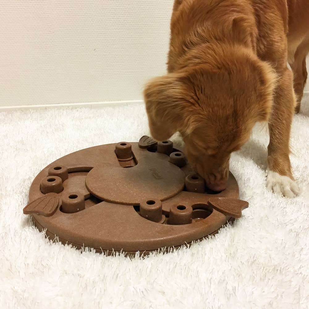 Nina Ottosson Dog Worker Interactive Dog Puzzle Composite