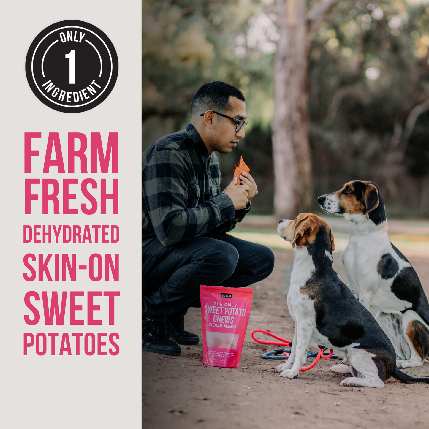 Natural Rapport - The Only Dehydrated Sweet Potato Chews Dogs Need