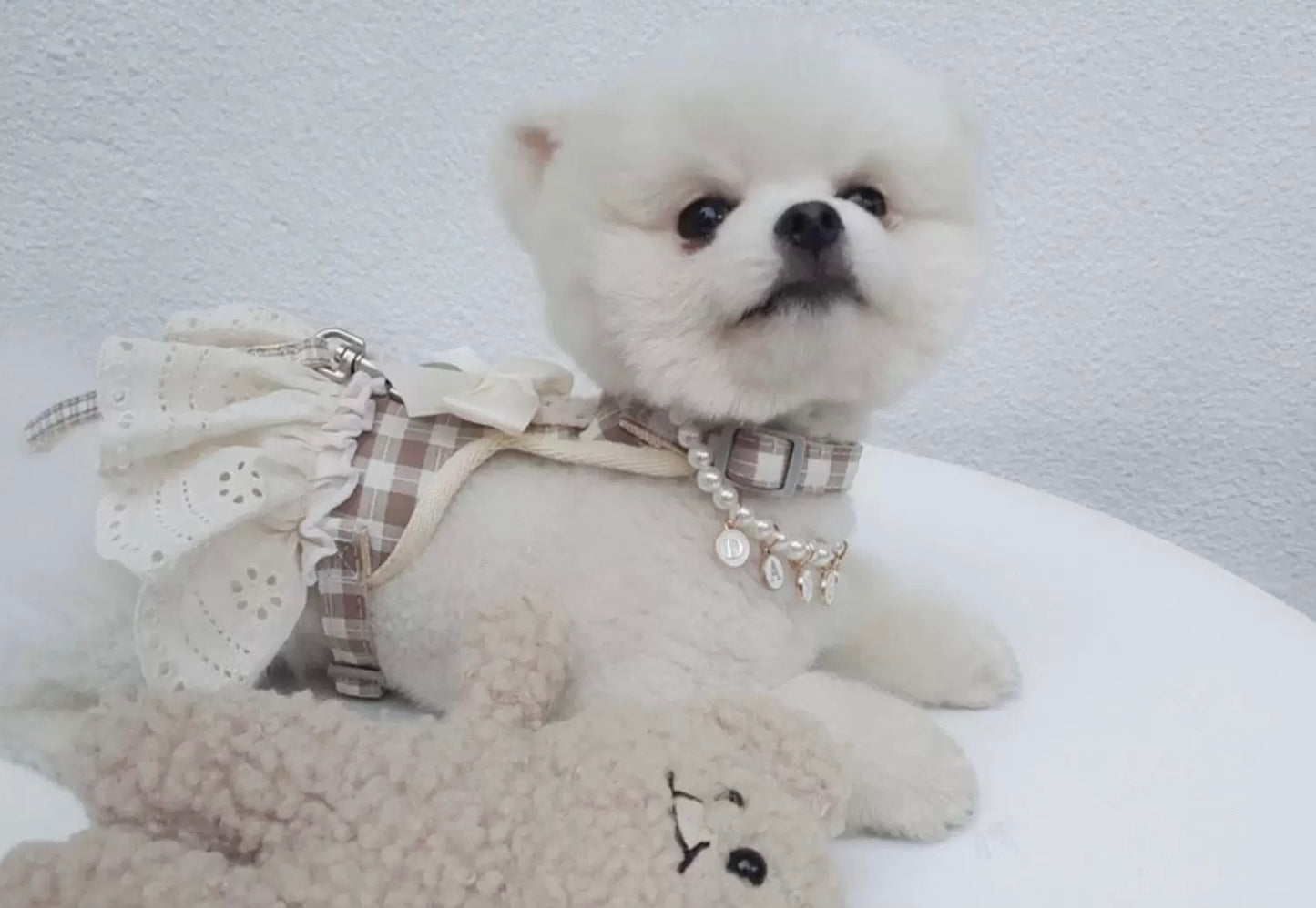 Small Plaid Bear Bow Harness Dress Set Series